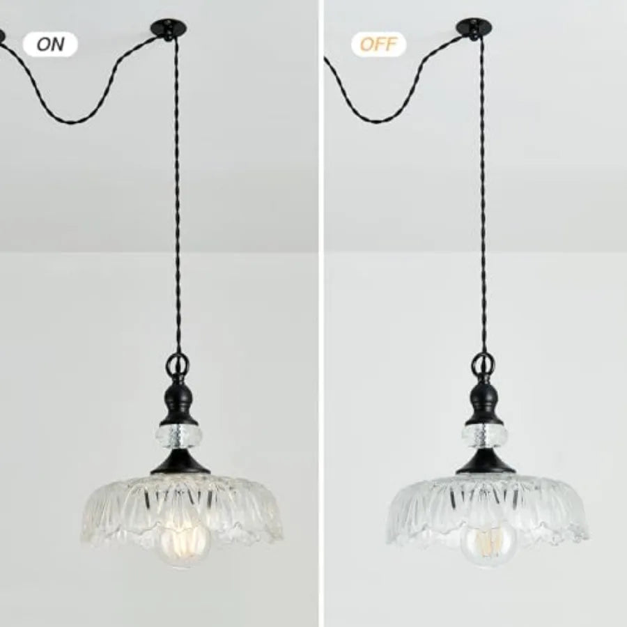 Plug in Glass Pendant Light Fixture Black Vintage Adjustable Chandelier Hanging Ceiling Light