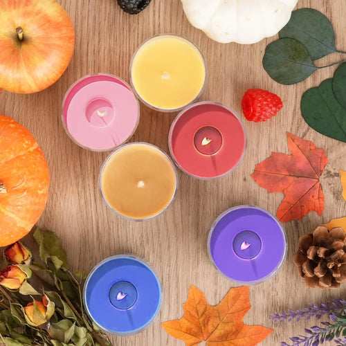 12 Pack seasonal MINI Scented Soy Candles Set for multi-holiday