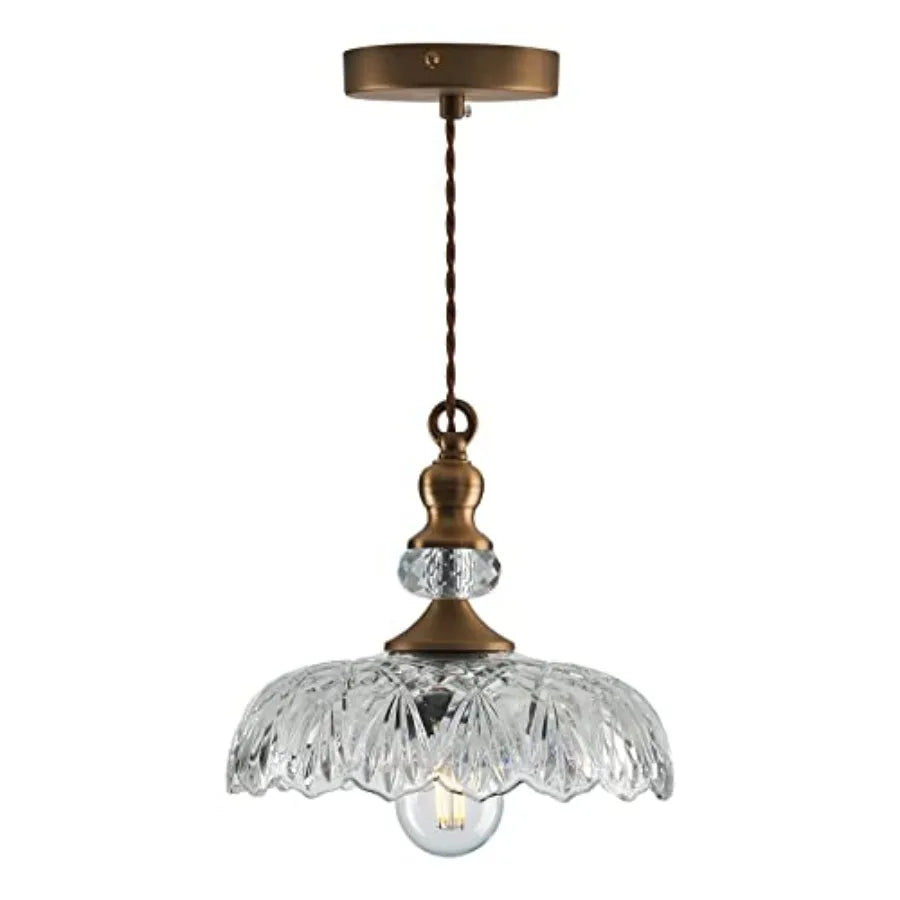 Plug in Glass Pendant Light Fixture Black Vintage Adjustable Chandelier Hanging Ceiling Light