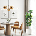Artificial Fiddle Leaf Fig Tree with White Planter, 5/6/7 ft Natural Wood Trunk,
