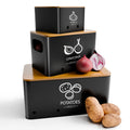 3-Piece Vegetable Storage Box Set, Potato, Onion and Garlic  Kitchen Countertops, With Lid Metal