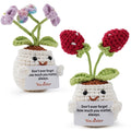 Beginner Crochet Kit Complete  Step-by-Step Video Tutorials for Adult Perfect for beginners