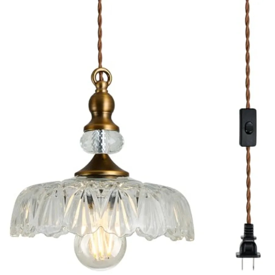 Plug in Glass Pendant Light Fixture Black Vintage Adjustable Chandelier Hanging Ceiling Light